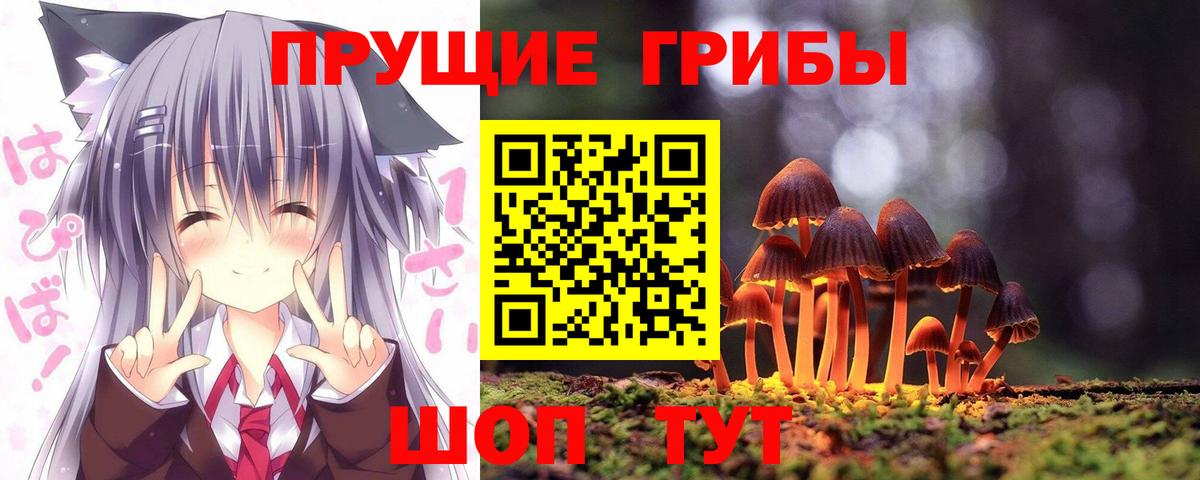 Псилоцибиновые грибы GOLDEN TEACHER  Вход с VPN  Псилоцибиновые грибы Psilocybine cubensis  даркнет сайт  Солнечногорск 