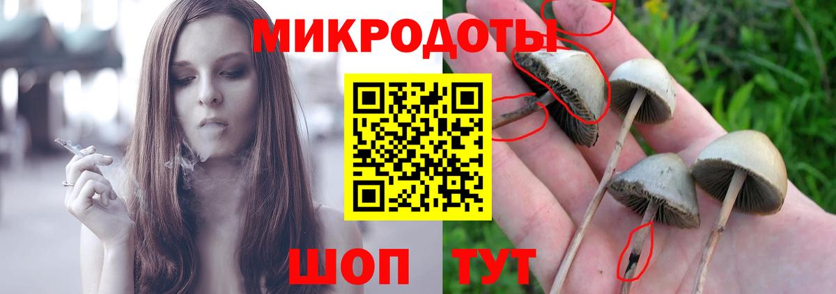 Псилоцибиновые грибы ЛСД Солнечногорск